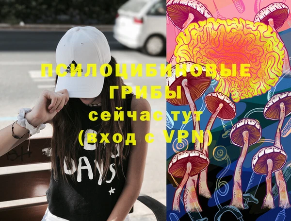 винт Верея