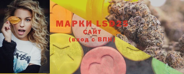 винт Верея